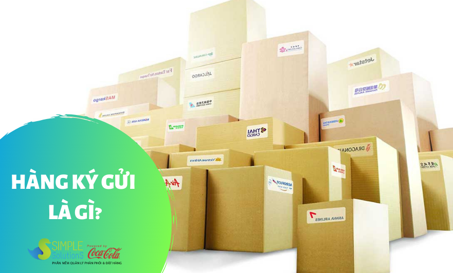 Hàng ký gửi là gì?