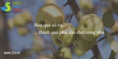Nghệ thuật 5 bước lấy lòng khách hàng “online”