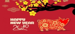 Mừng Tết Kỷ Hợi 2019 và lời chúc đến toàn thể Khách hàng S3
