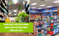Khác biệt giữa Cửa hàng bách hoá (grocery store) và Cửa hàng tiện lợi (convenience store )