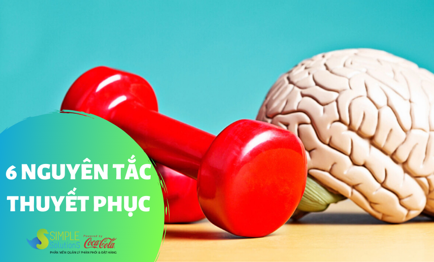 6 Nguyên tắc trong thuyết phục