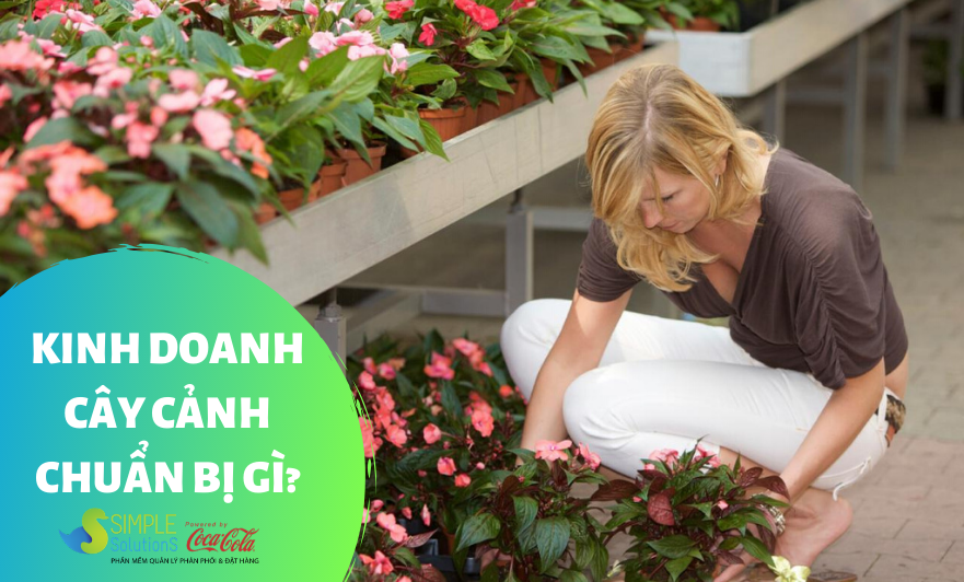 Kinh doanh cây cảnh cần lưu ý gì?